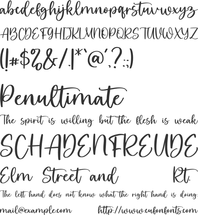 Wittierly font preview