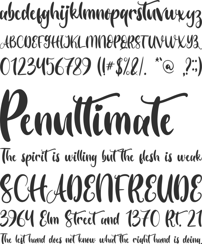 Vibelove - Personal Use font preview