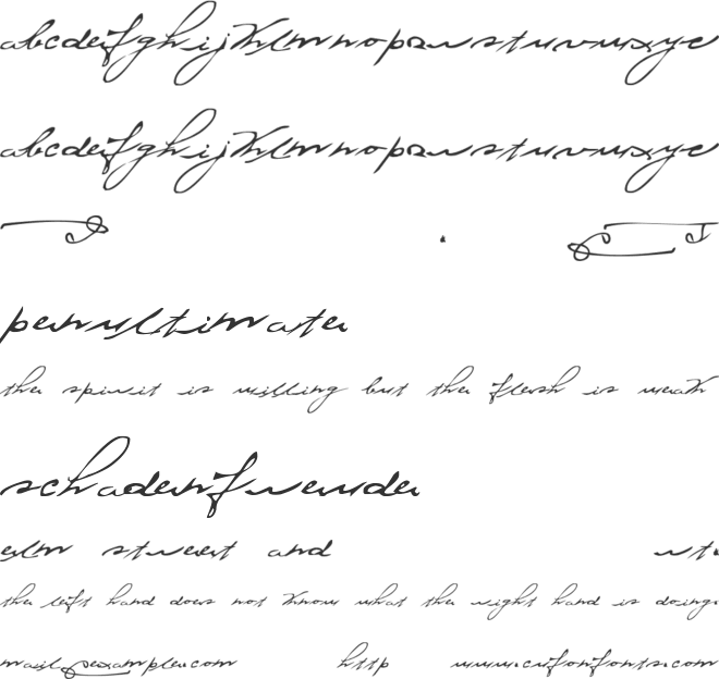 Jersey Stories! font preview