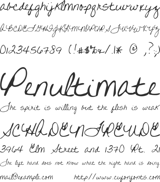 Written on His Hands font preview