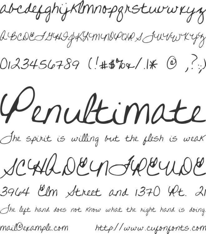 Written on His Hands font preview