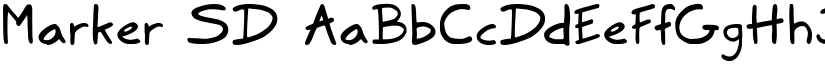 Marker SD font