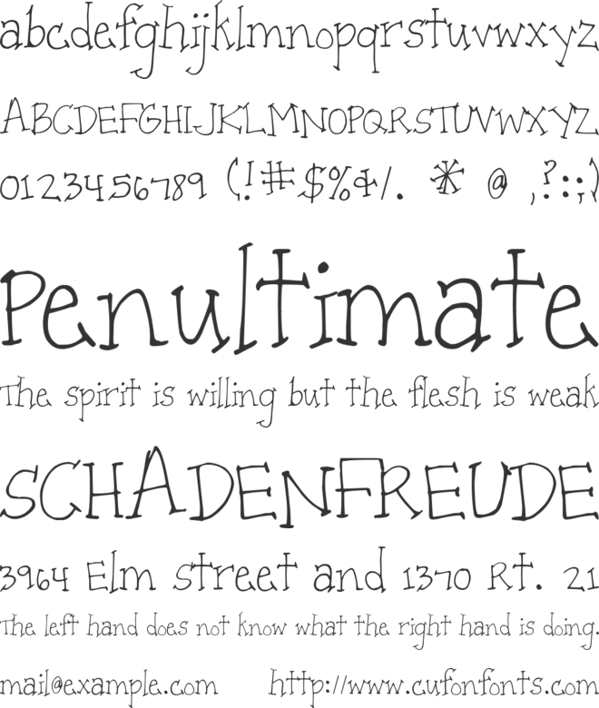 Patient Paige font preview