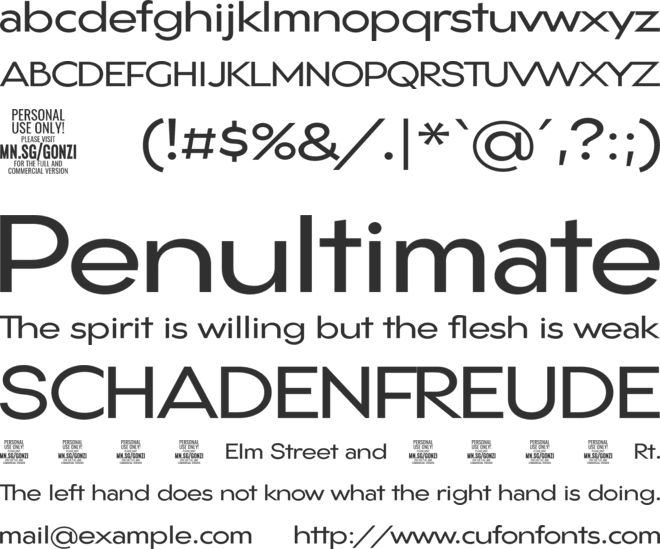 Gonzi Expanded PERSONAL USE font preview