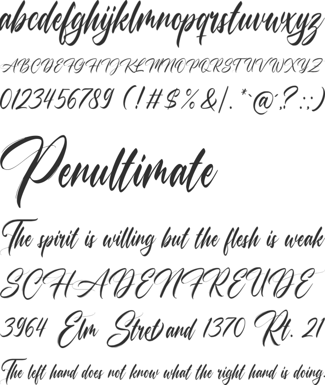 Champagne font preview