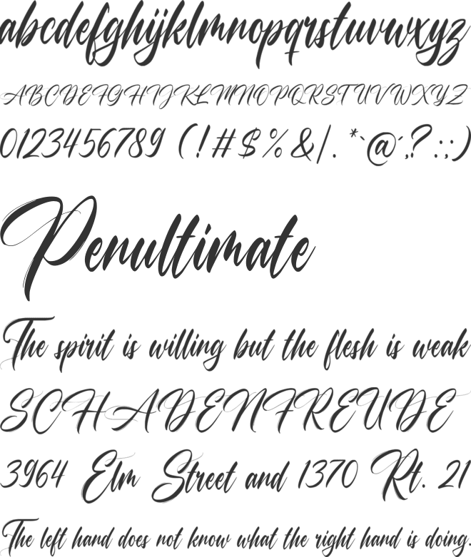 Champagne font preview