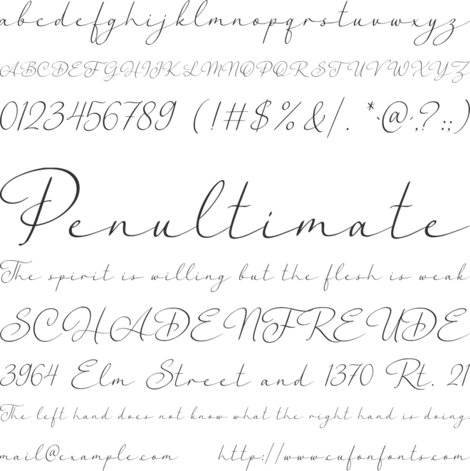 Flourish Orchestral font preview