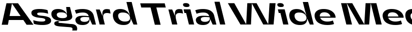 Asgard Trial Wide Medium Backslant font