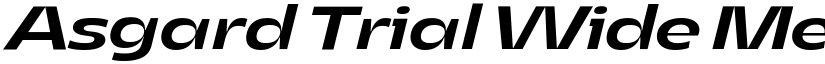 Asgard Trial Wide Medium Italic font