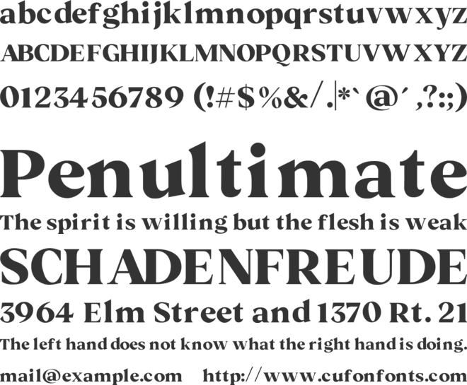 Bachelor font preview