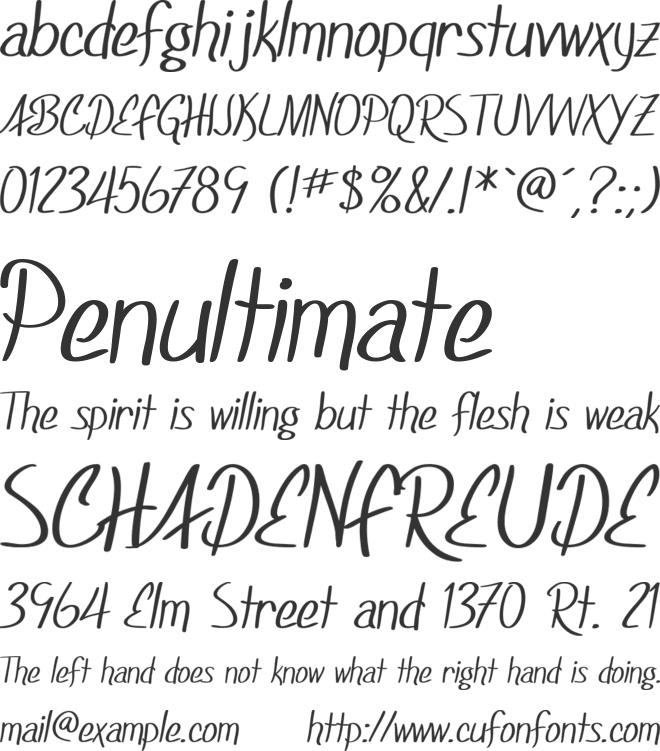 SF Foxboro Script font preview