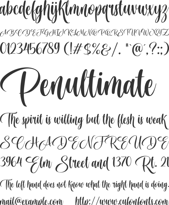 Belladonia font preview