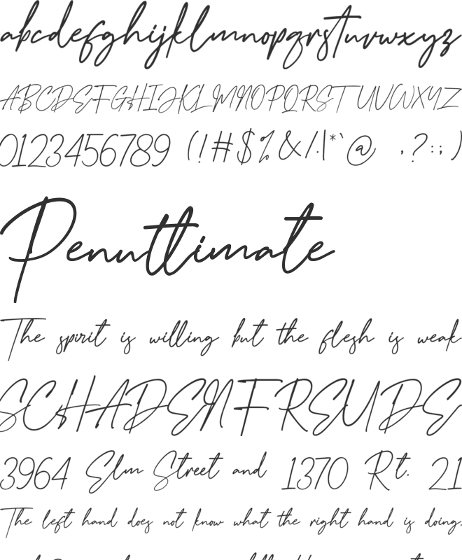 Goodnight London Script font preview