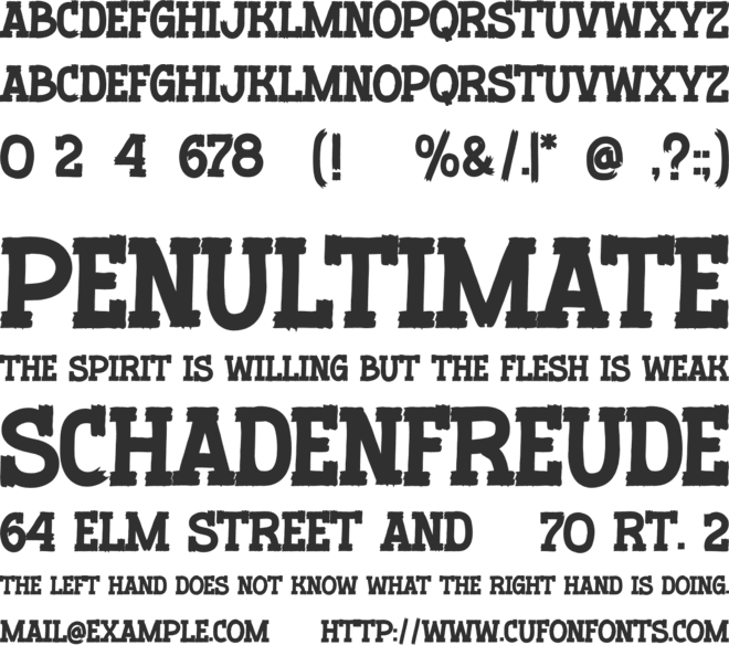 Wakeup Today font preview
