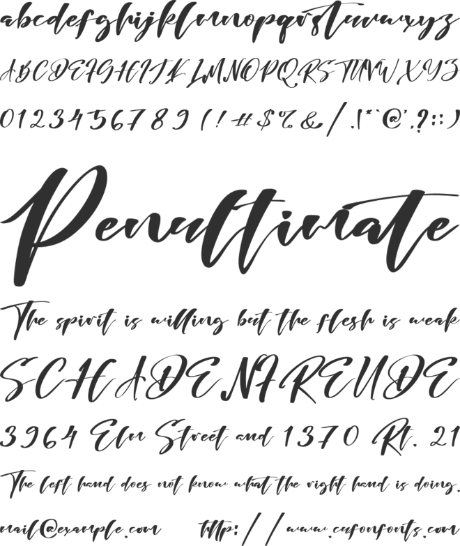 RISATRY font preview