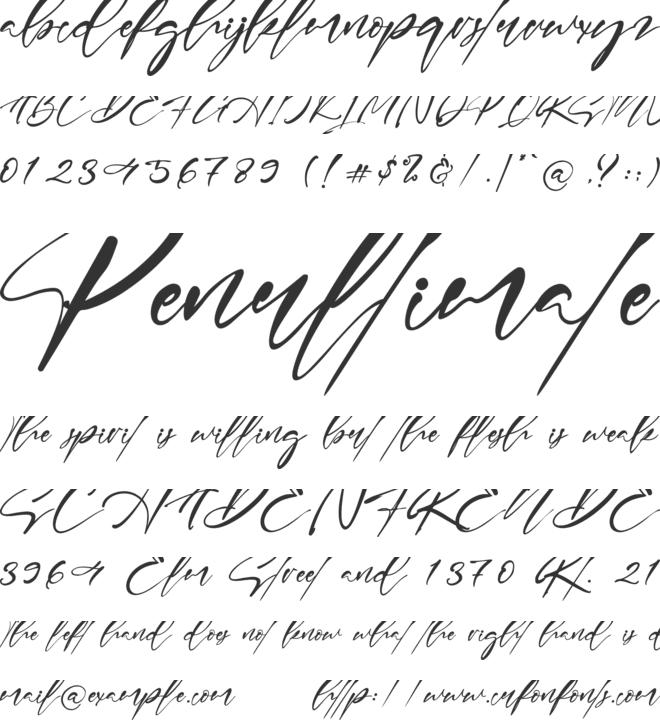 ANGELINA RACHMI font preview