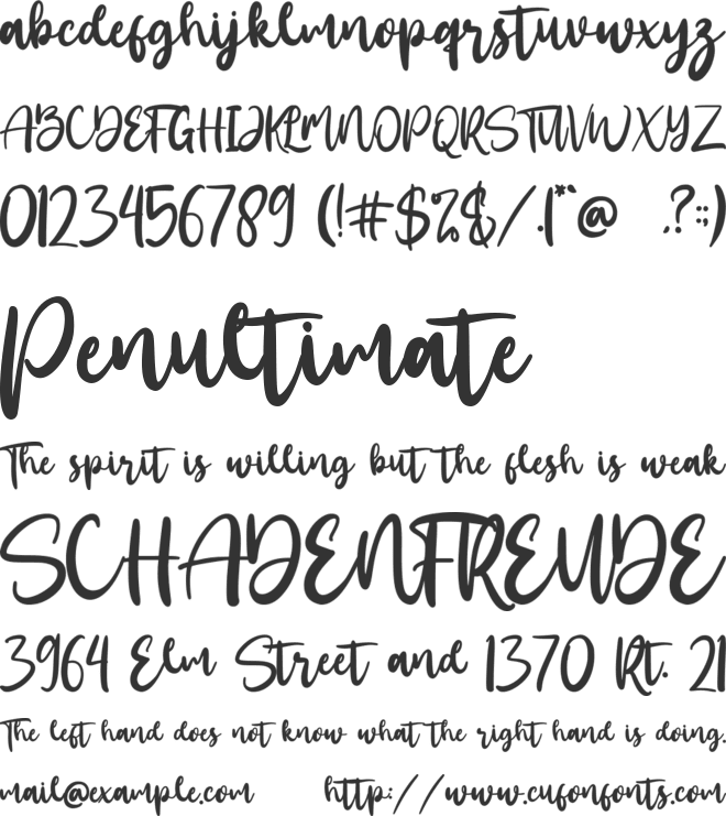 Santtuy font preview