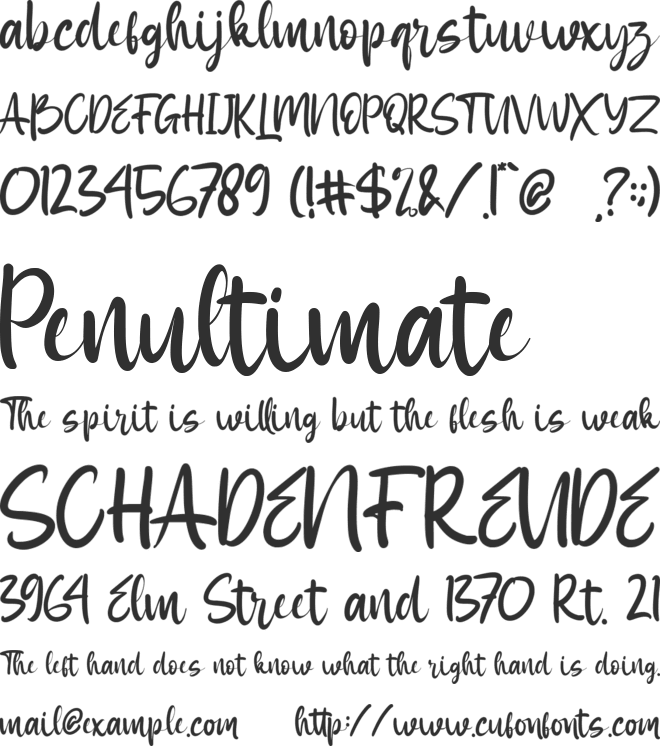 Amy Sauly font preview