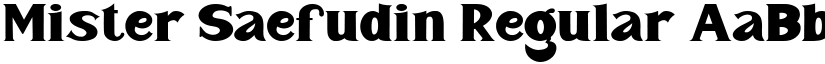 Mister Saefudin Regular font
