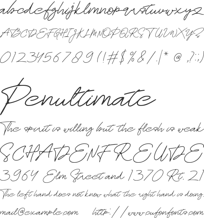 Rosa font preview