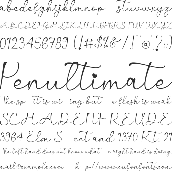 Sweet Signature font preview