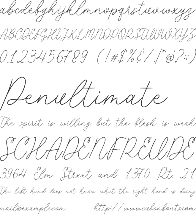 Placepage font preview