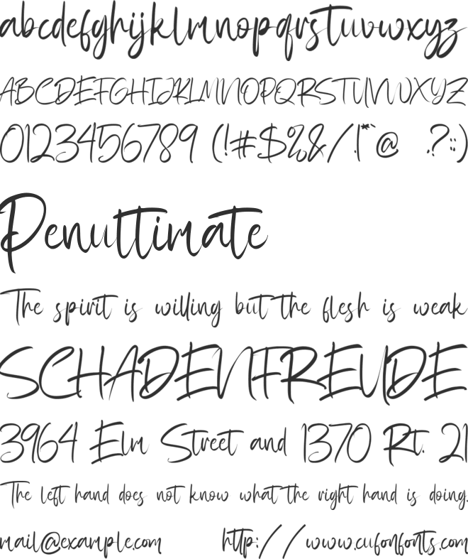 Rattfiny Script font preview