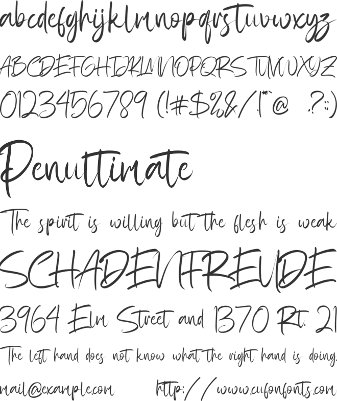 Rattfiny Script font preview