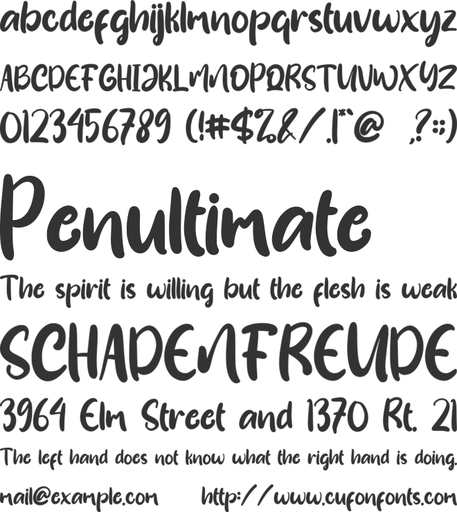 Susanow font preview