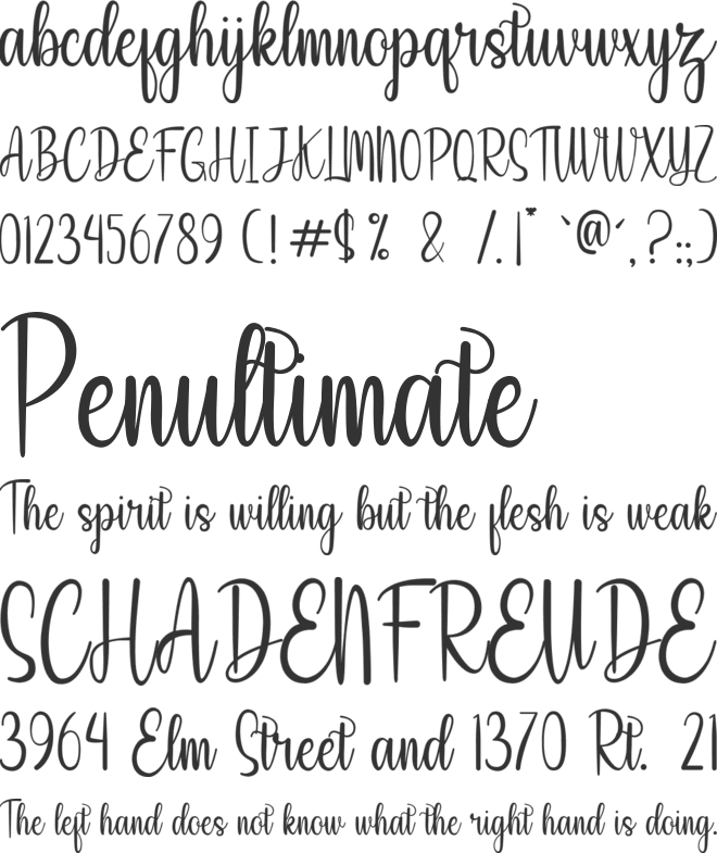 Angela Hasuky font preview