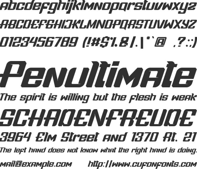 Boldness Race font preview