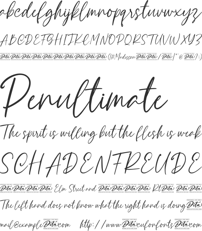 Madisson Personal Use font preview