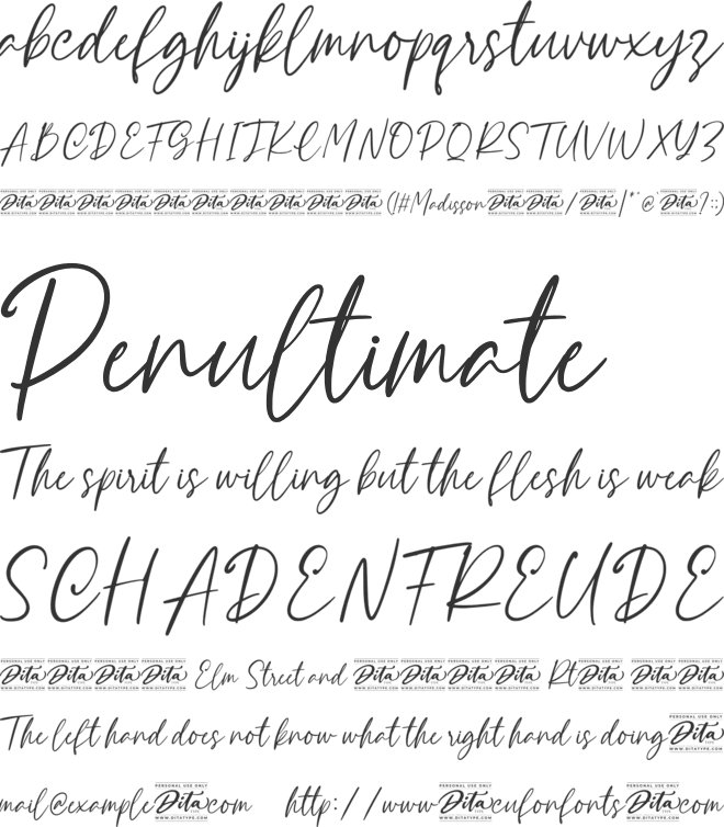 Madisson Personal Use font preview