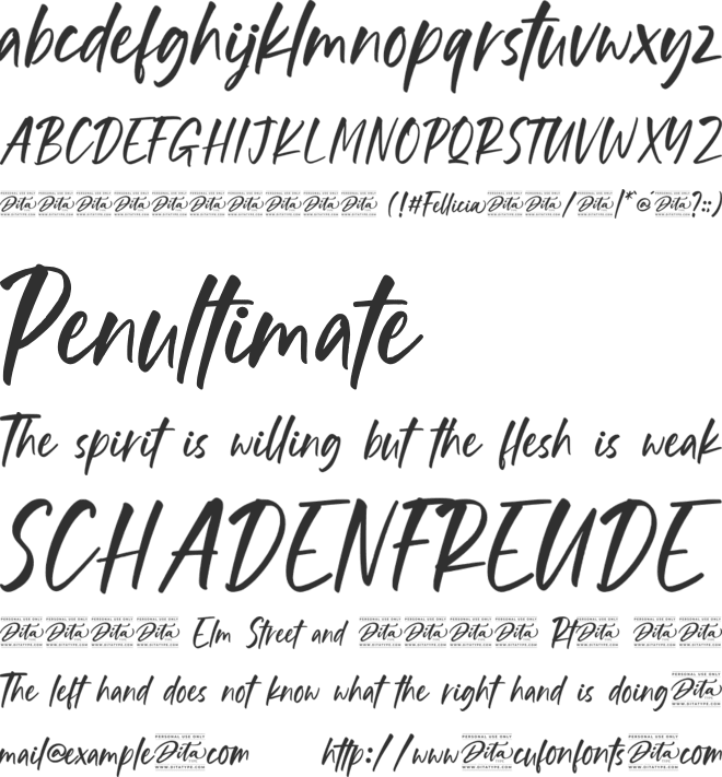 Fellicia Personal Use font preview