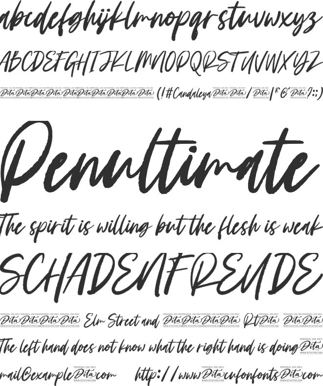 Candaleya Personal Use font preview