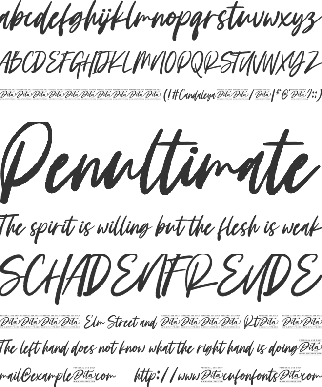Candaleya Personal Use font preview