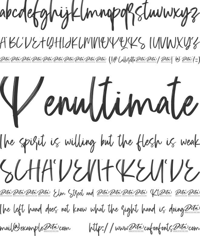 Calliretta Personal Use font preview