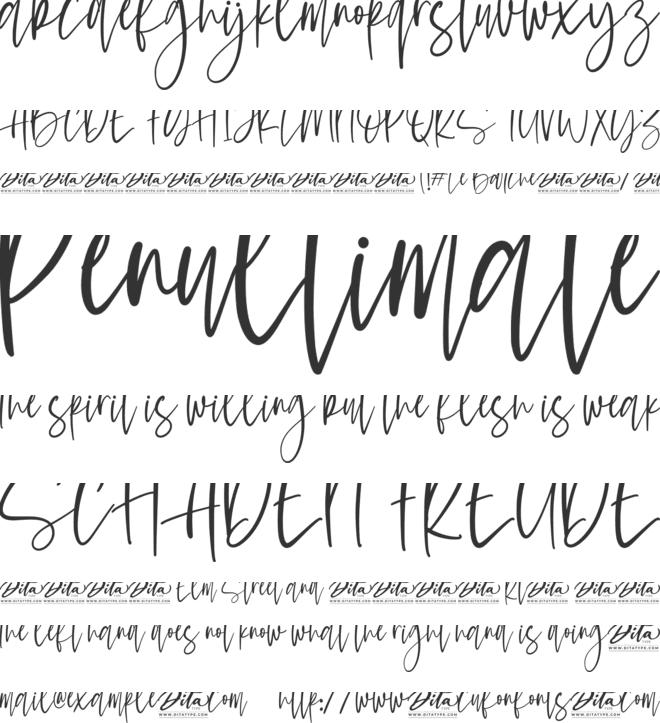 Le Barche Personal Use font preview