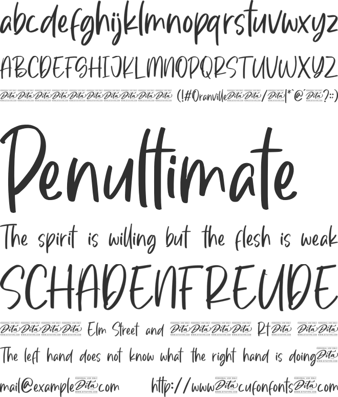 Oranville Personal Use font preview