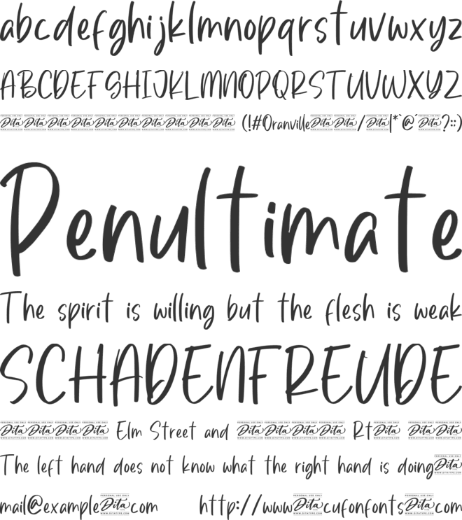 Oranville Personal Use font preview
