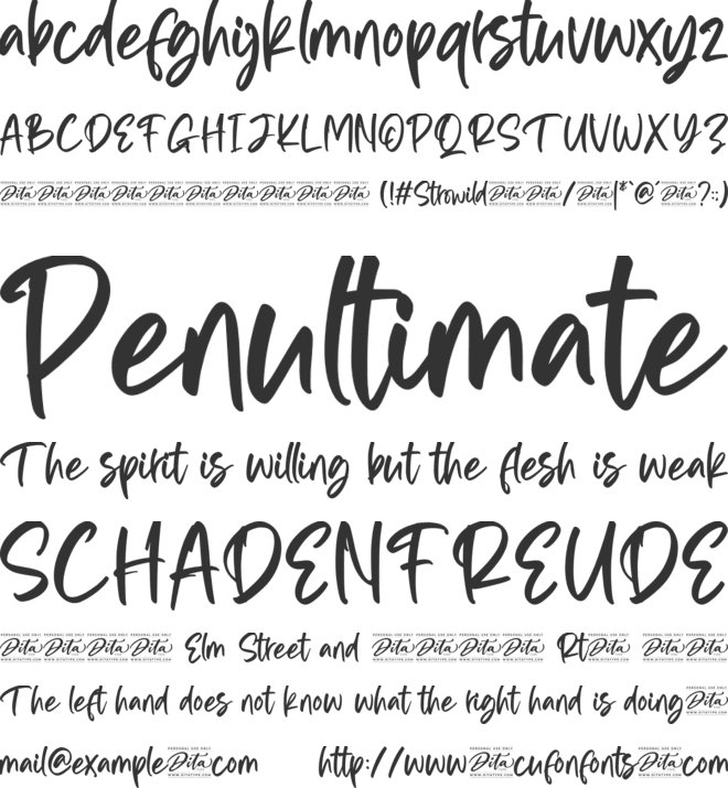 Strowild Personal Use font preview