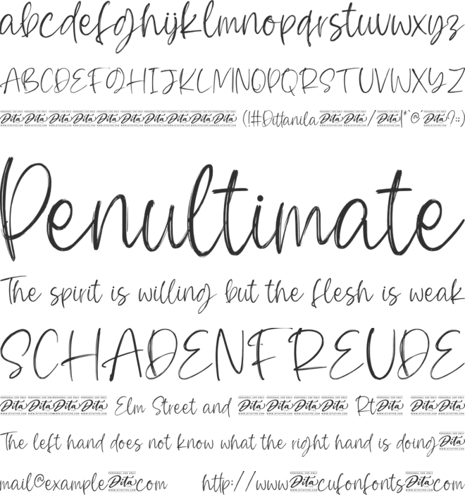 Dittanila Personal Use font preview