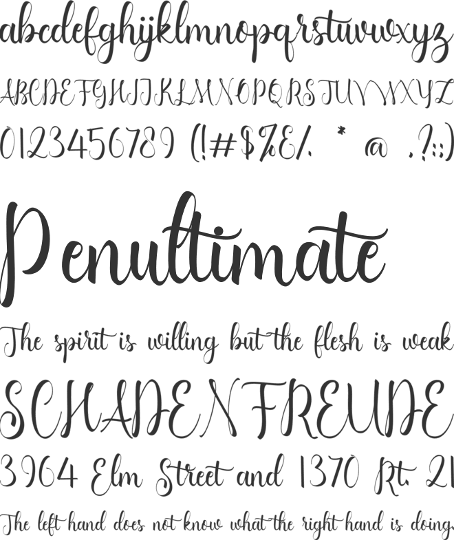Anita Leiha font preview