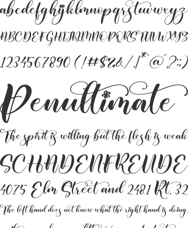 Regista font preview