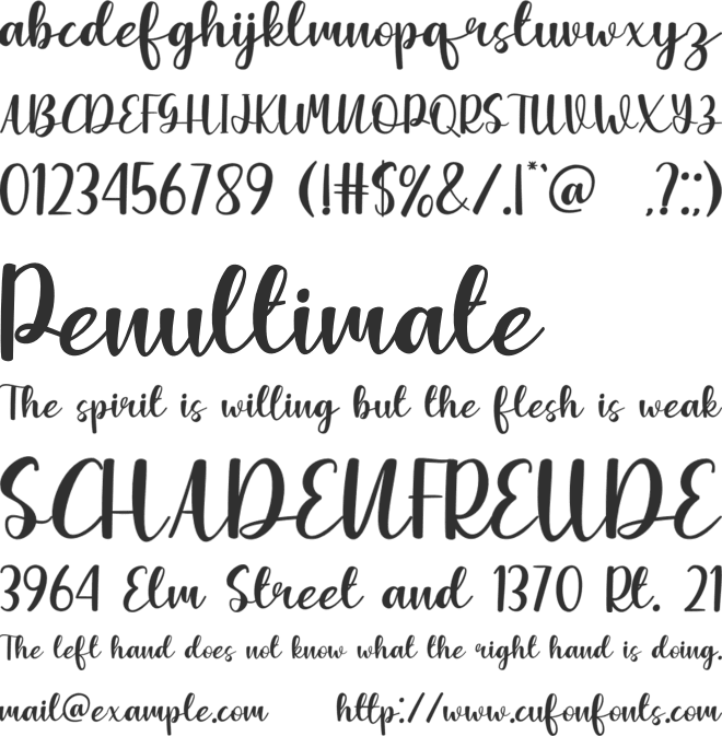 Sweetness Everyday Script font preview
