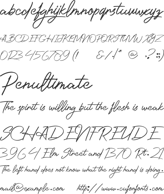 Photographer_Script font preview