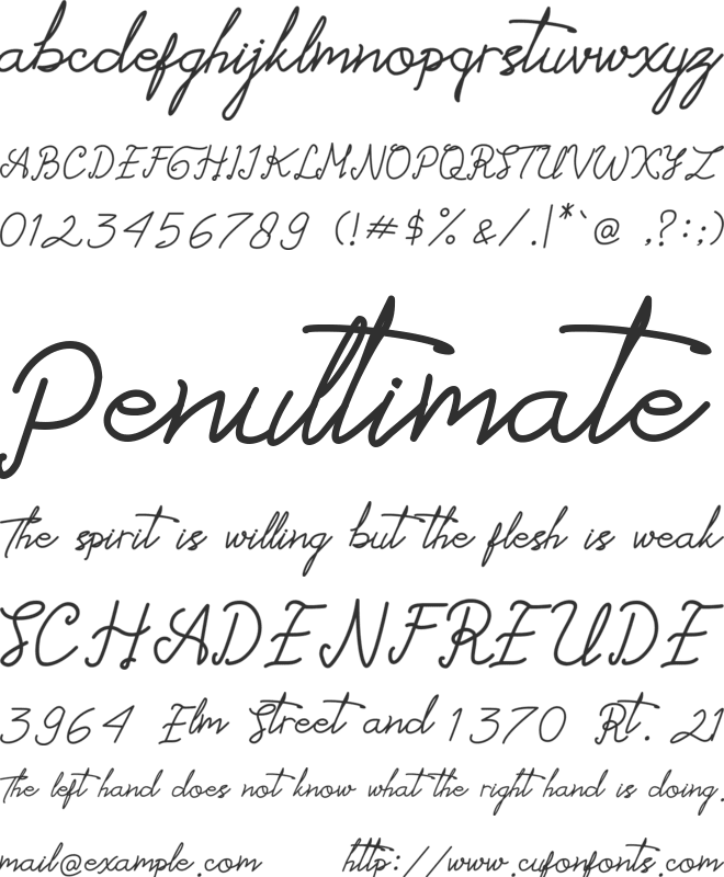 Alessandro_Signature_Free font preview