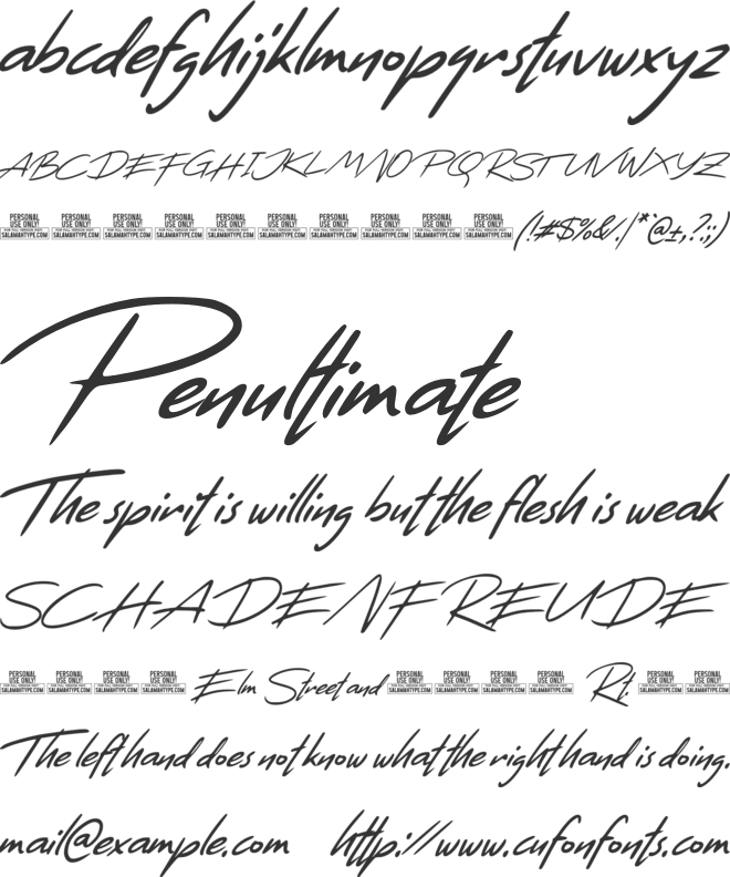 Black Raven font preview