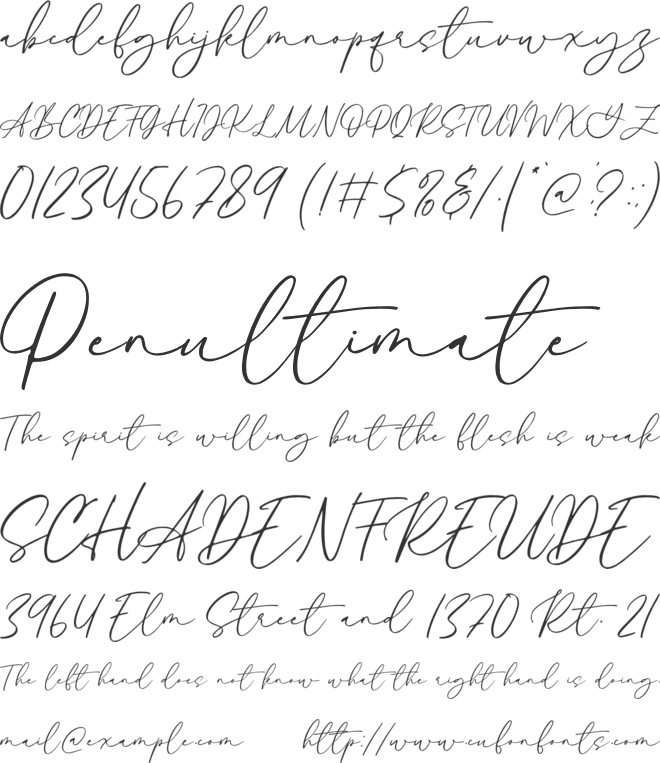Alyson Signature font preview