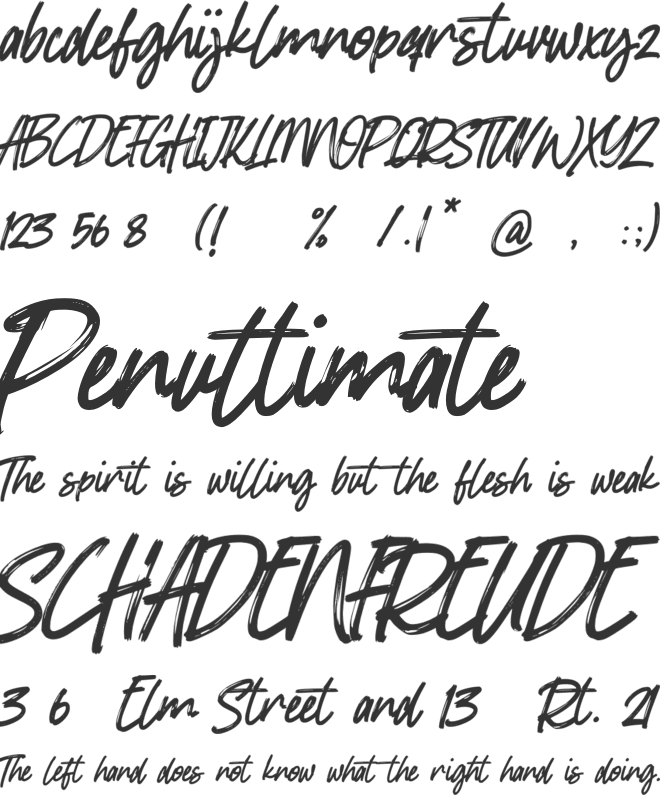 Salomonstera font preview